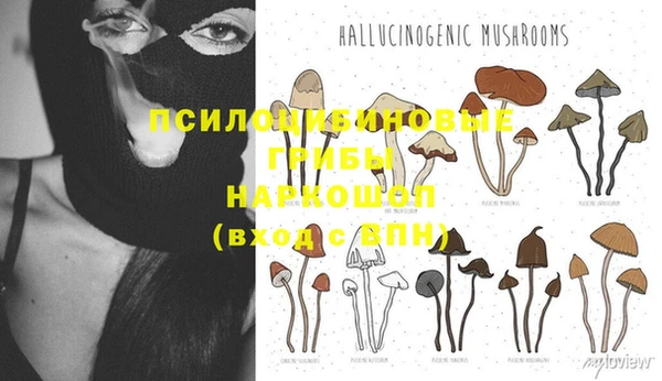 ешки Богородск