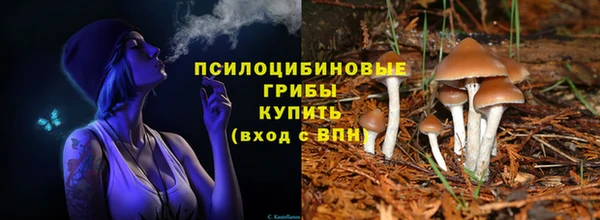 ешки Богородск