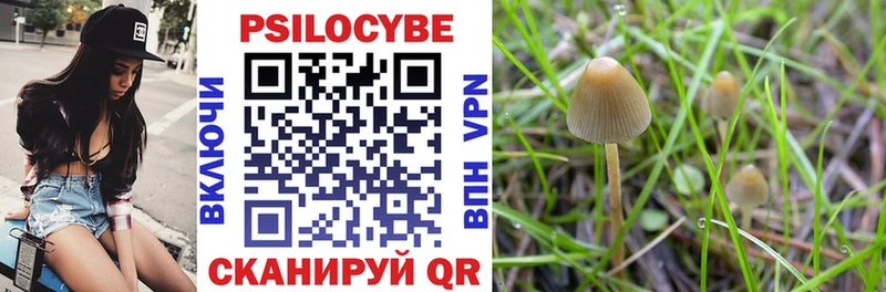 Псилоцибиновые грибы прущие грибы  Мезень 